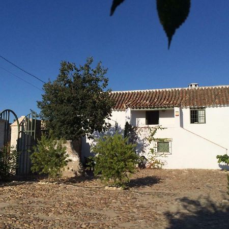 Casa Del Almezo Guest House Almodovar del Rio Luaran gambar